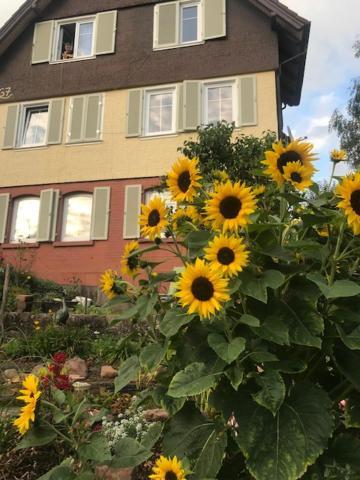 Sonnige Ferienwohnung Schramberg Exterior photo